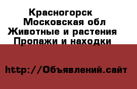 Красногорск  - Московская обл. Животные и растения » Пропажи и находки   